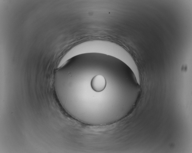 X0000111810033200908131509