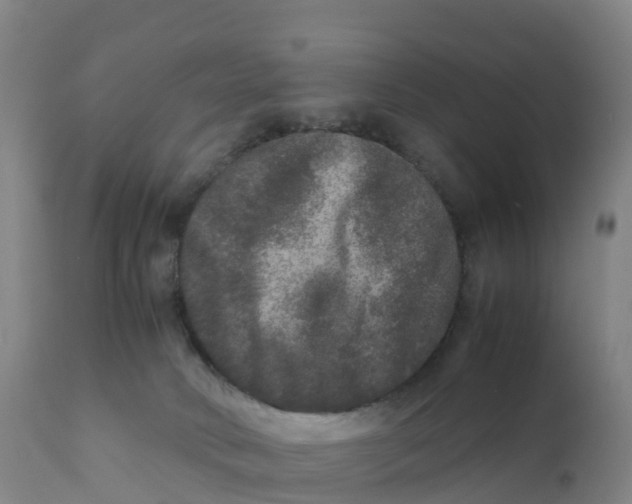 X0000111810034200908131509