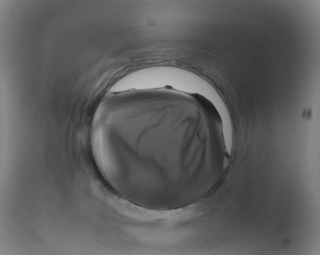 X0000111810035200908131509