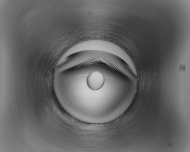 X0000111810036200908131509