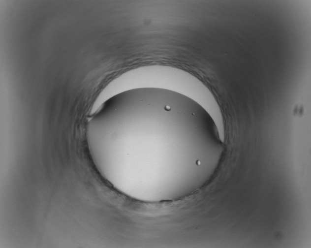 X0000111810037200908131509