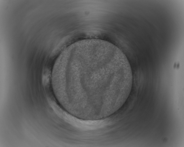 X0000111810038200908131509