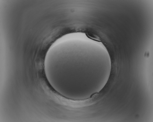 X0000111810039200908131509