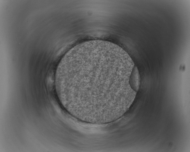 X0000111810040200908131509