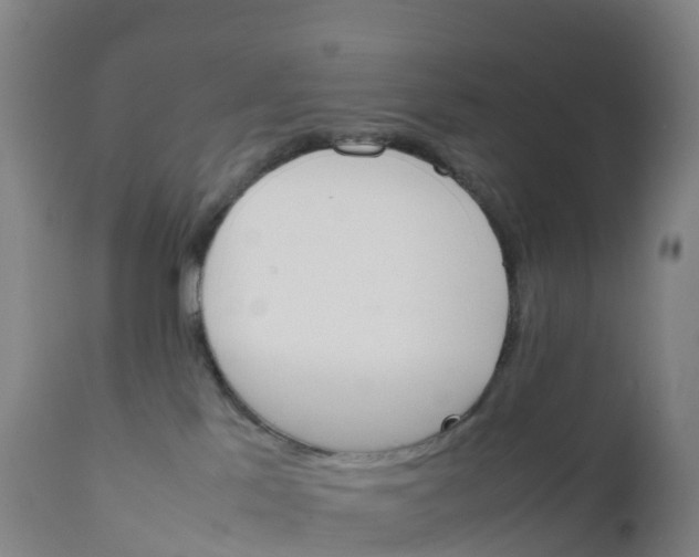 X0000111810041200908131509