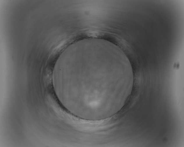 X0000111810043200908131509