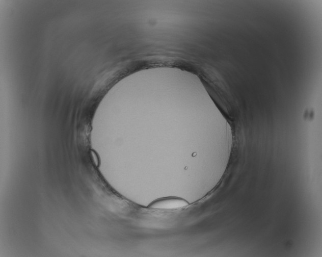 X0000111810045200908131509