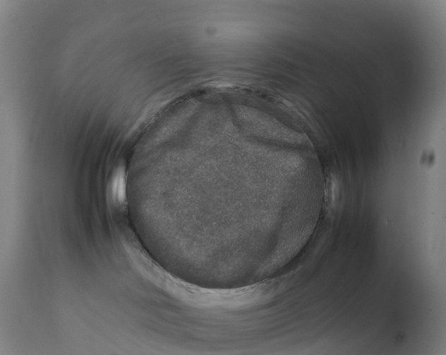 X0000111810046200908131509