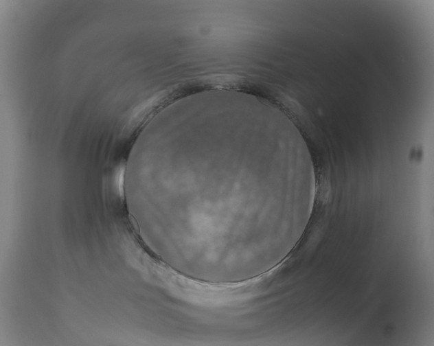 X0000111810047200908131509