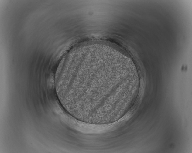 X0000111810048200908131509