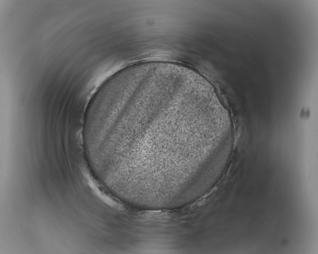 X0000111810050200908131508