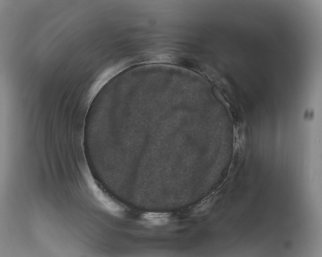X0000111810051200908131508