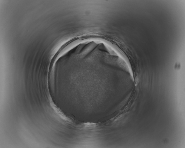 X0000111810052200908131508