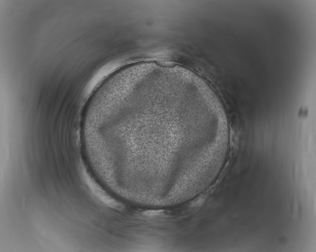 X0000111810054200908131508
