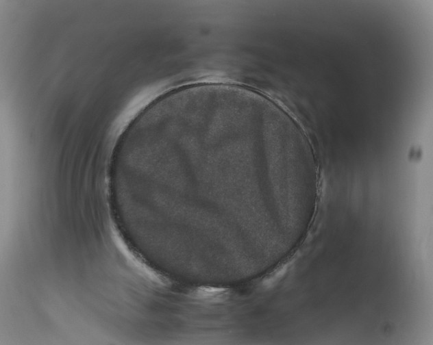 X0000111810055200908131508