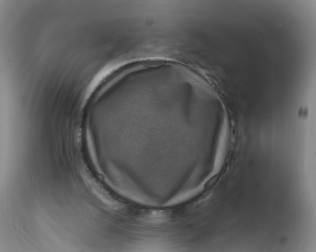 X0000111810056200908131509
