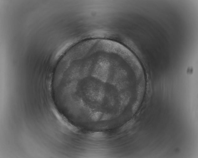 X0000111810058200908131509