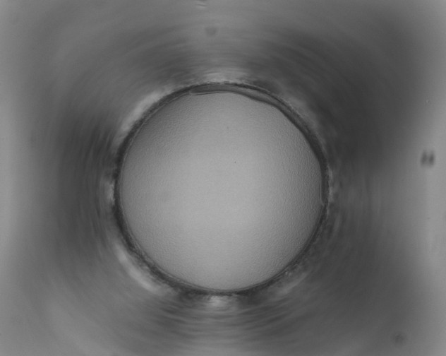 X0000111810060200908131509