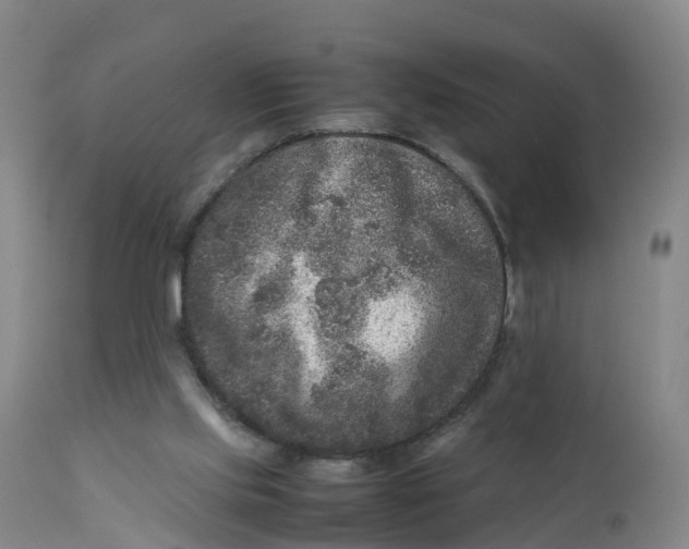 X0000111810061200908131509