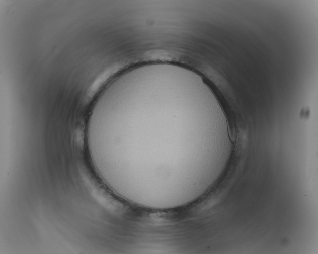 X0000111810064200908131509