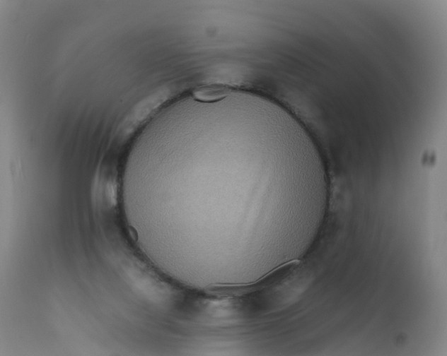 X0000111810068200908131509