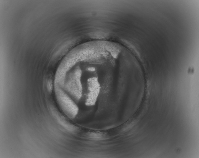 X0000111810069200908131509