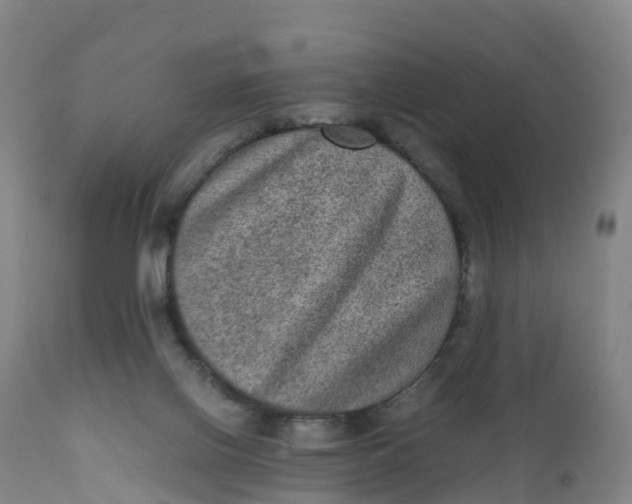 X0000111810070200908131509