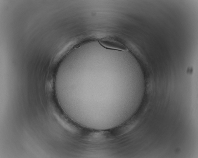 X0000111810072200908131509