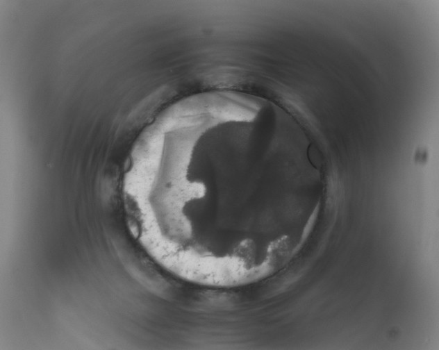 X0000111810073200908131509