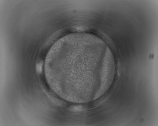 X0000111810075200908131509