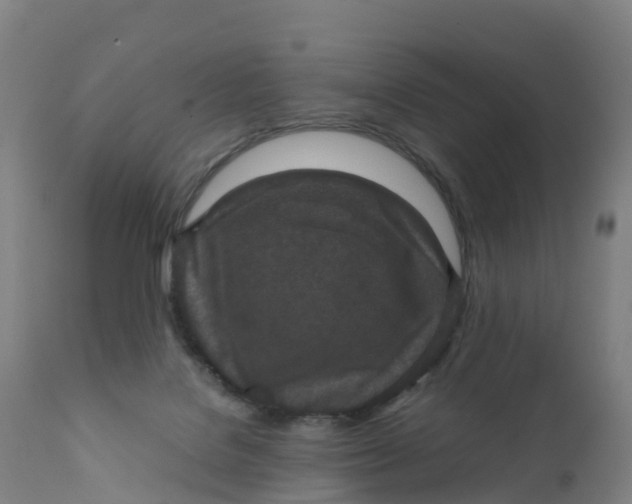 X0000111810076200908131509