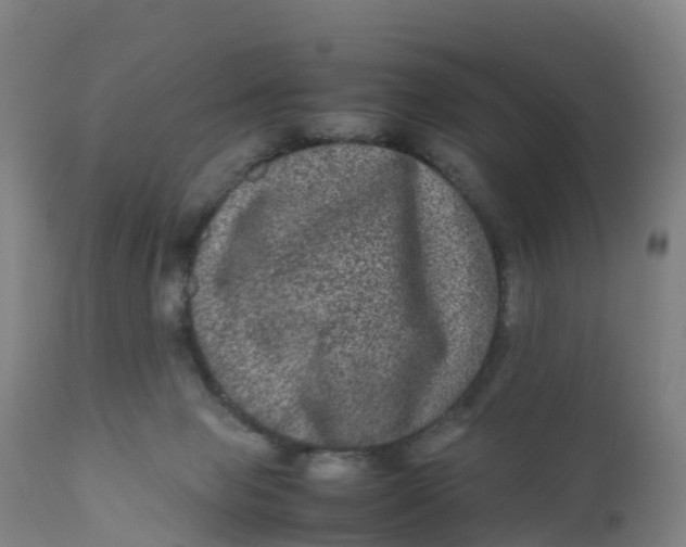 X0000111810077200908131509