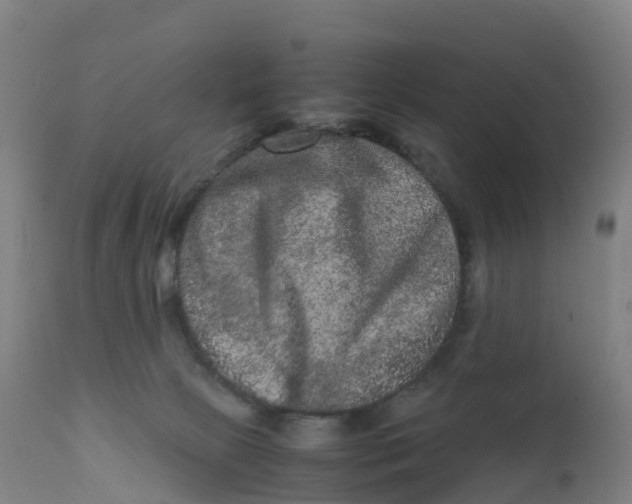 X0000111810081200908131509