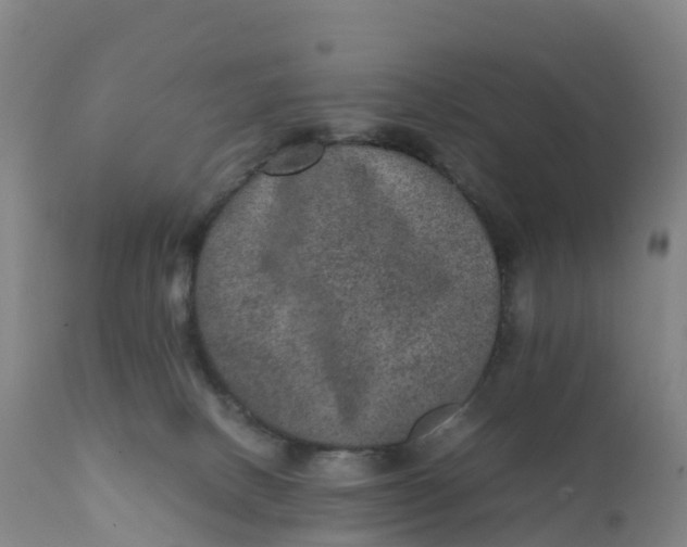 X0000111810082200908131509