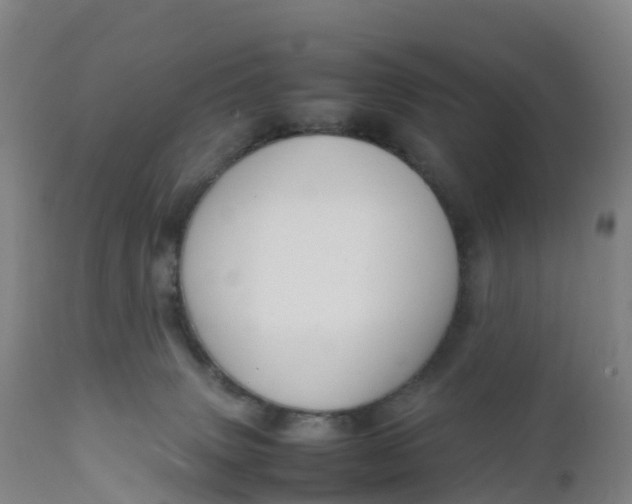 X0000111810083200908131509