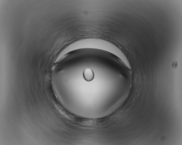 X0000111810084200908131509