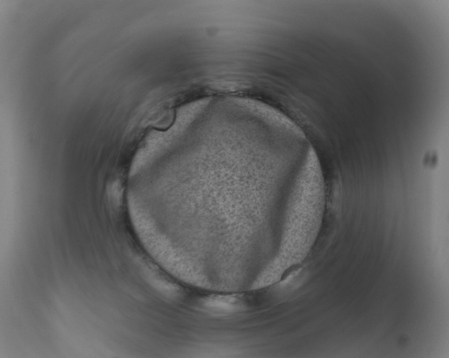 X0000111810086200908131509