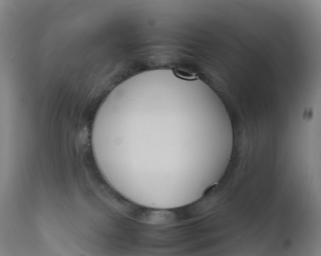 X0000111810087200908131509