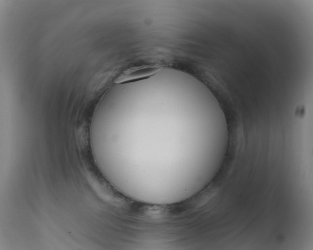 X0000111810088200908131509