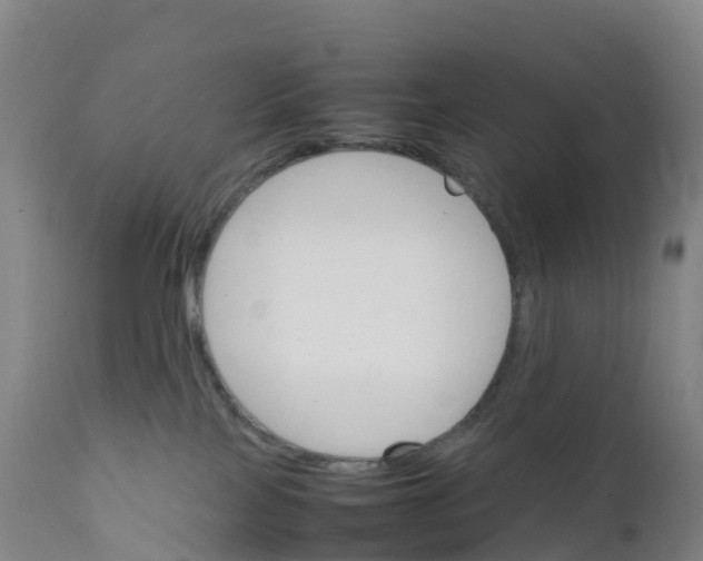X0000111810089200908131509