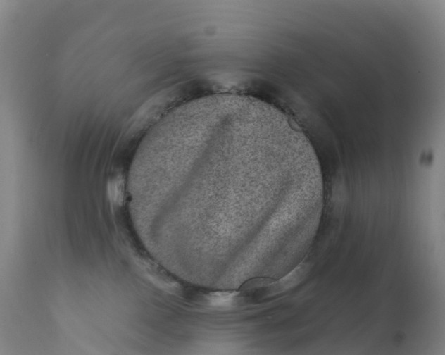 X0000111810090200908131509
