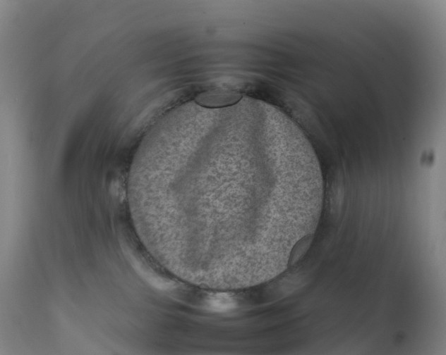 X0000111810091200908131509