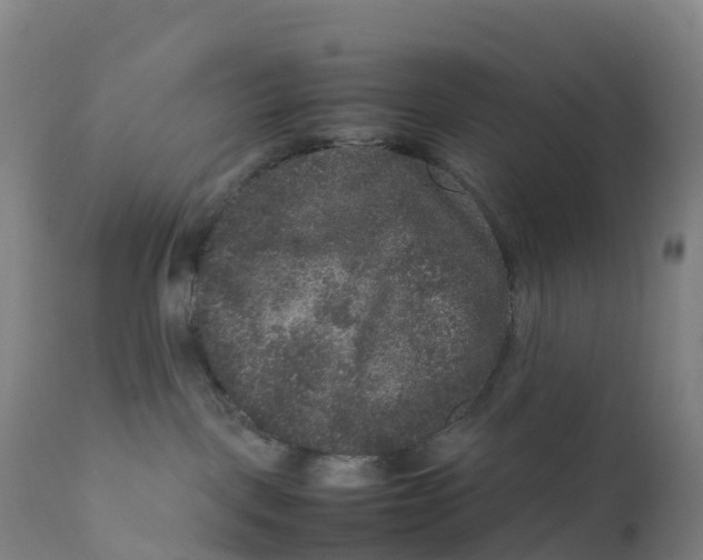 X0000111810093200908131509