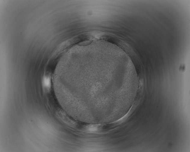 X0000111810094200908131509