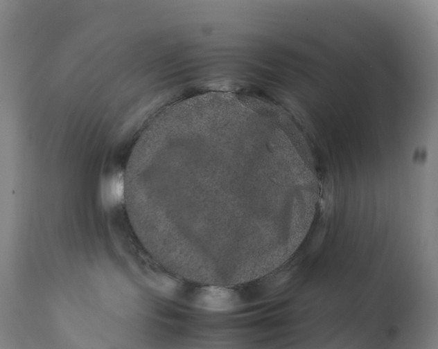 X0000111810095200908131509