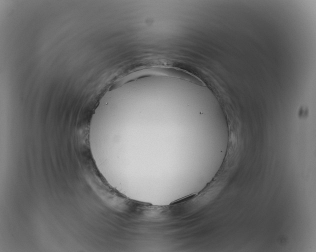 X0000111810096200908131509