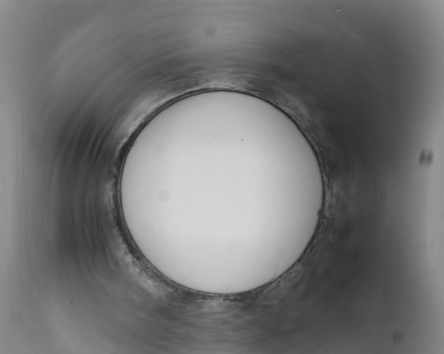 X0000111810098200908131508