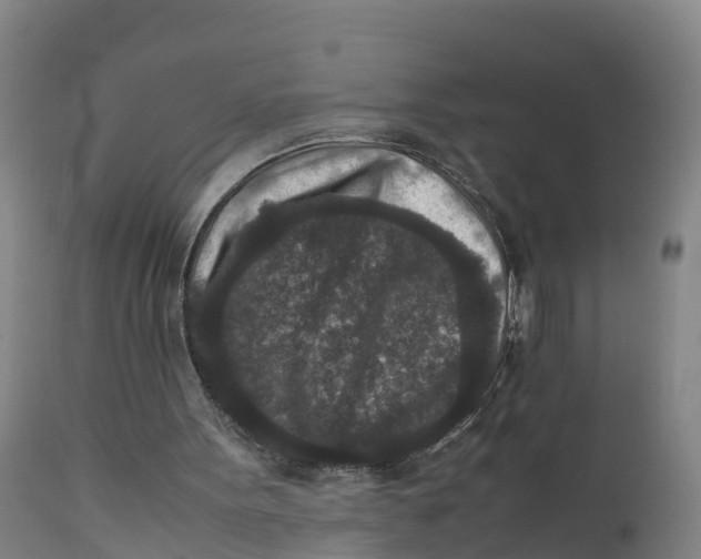 X0000111810099200908131508