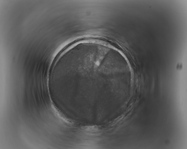 X0000111810100200908131508