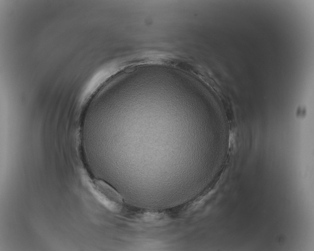 X0000111810101200908131508